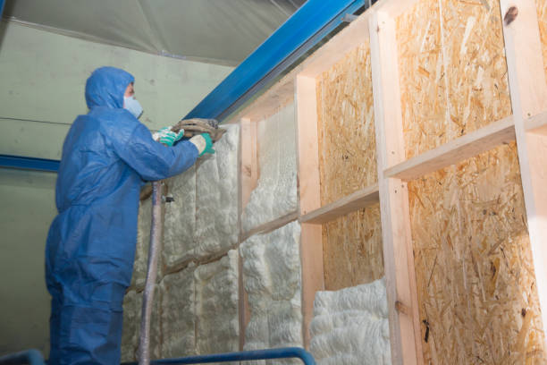 Best Attic Insulation Installation  in Franklin, LA